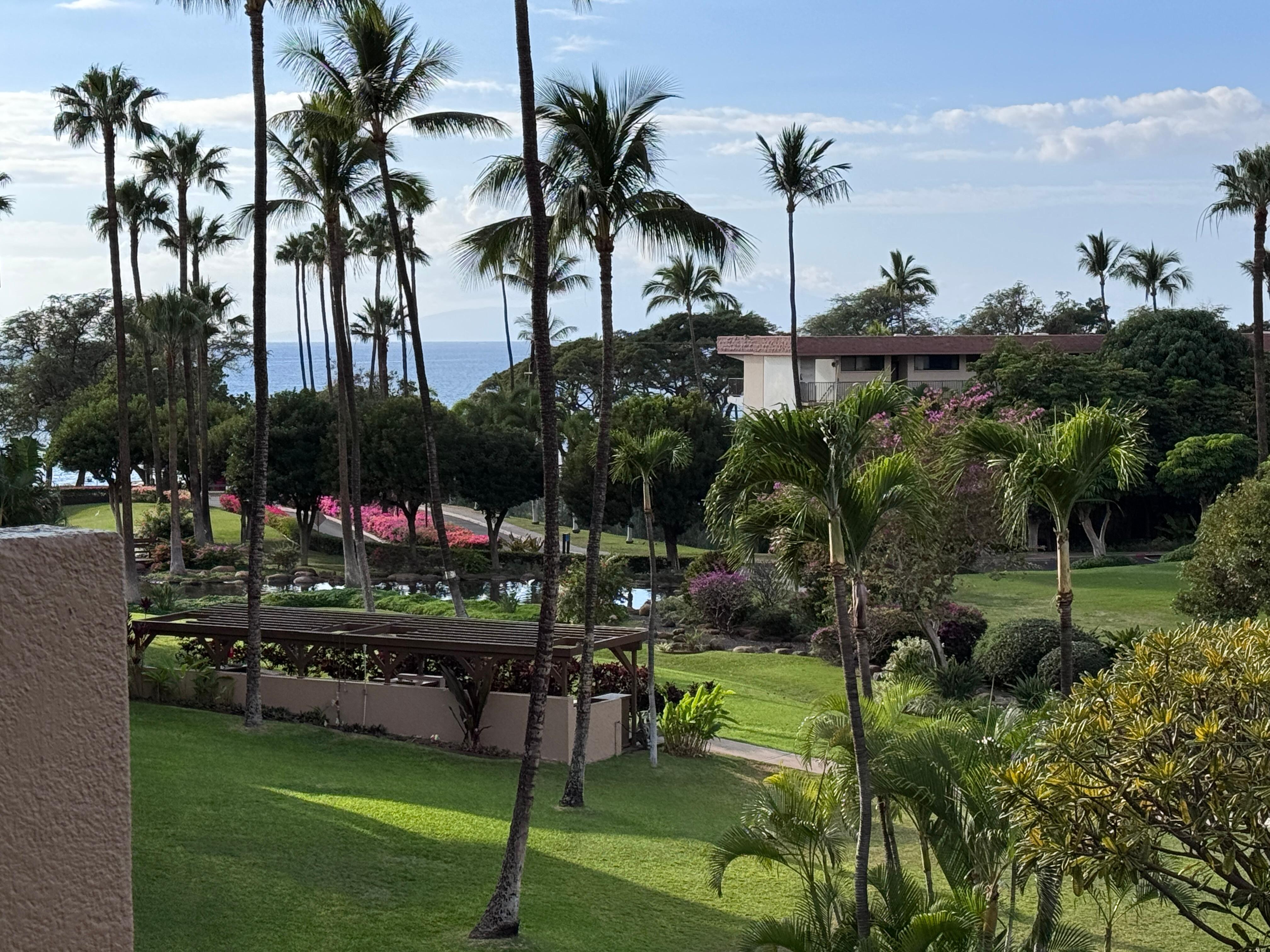 View from the lanai.