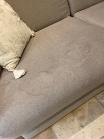 Hide-a-bed couch in the living room needs deep cleaning ... and having a convertible couch in the living room doesn't make it a bedroom!