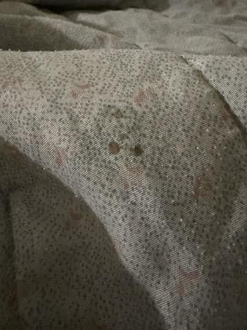 Food/blood? drops on bed 