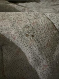 Food/blood? drops on bed