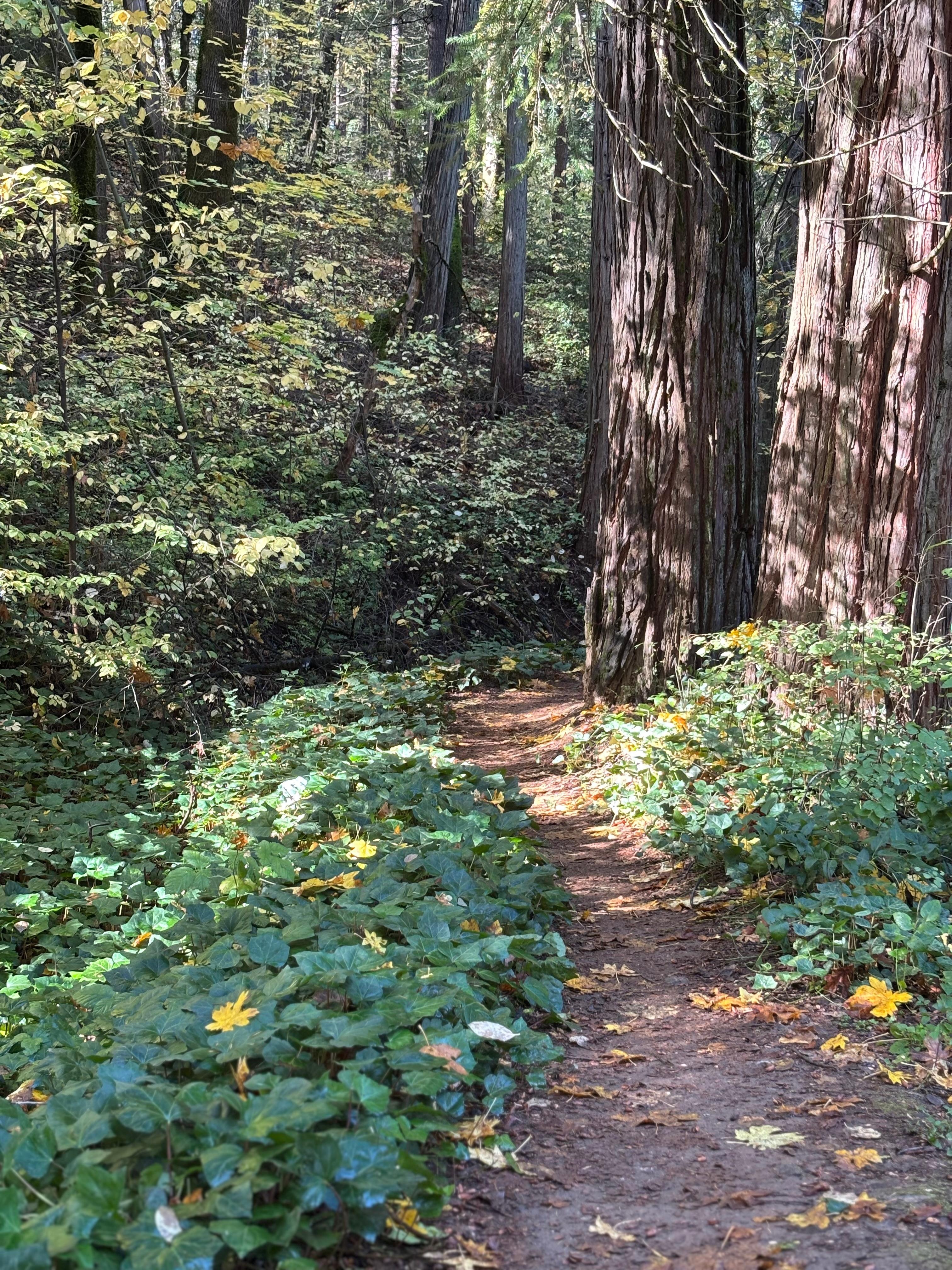 5 minute walk to creek!