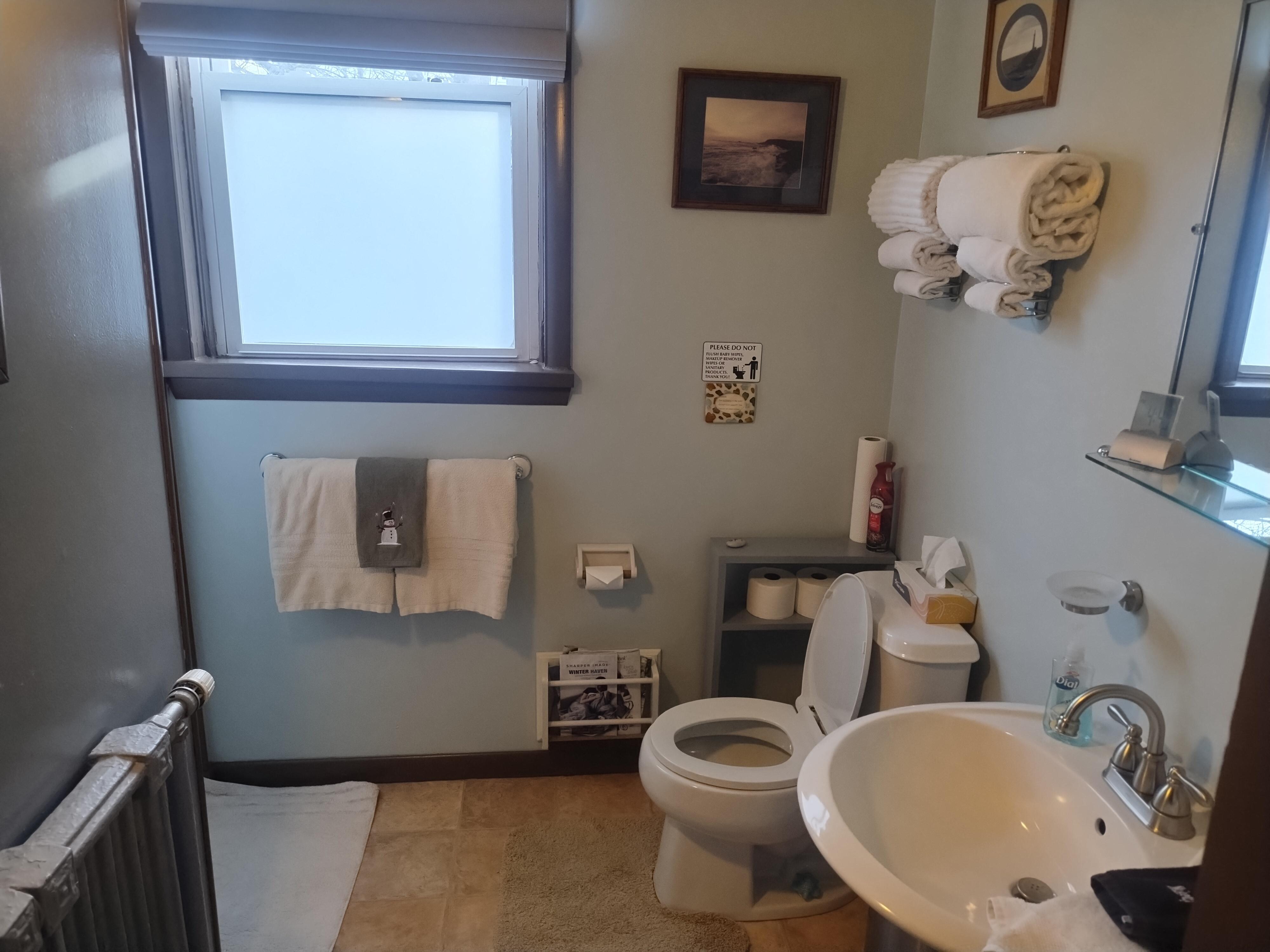 Private bathroom with bath robes, hairdryer, linens and hygiene products provided