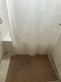 Dirty shower curtain