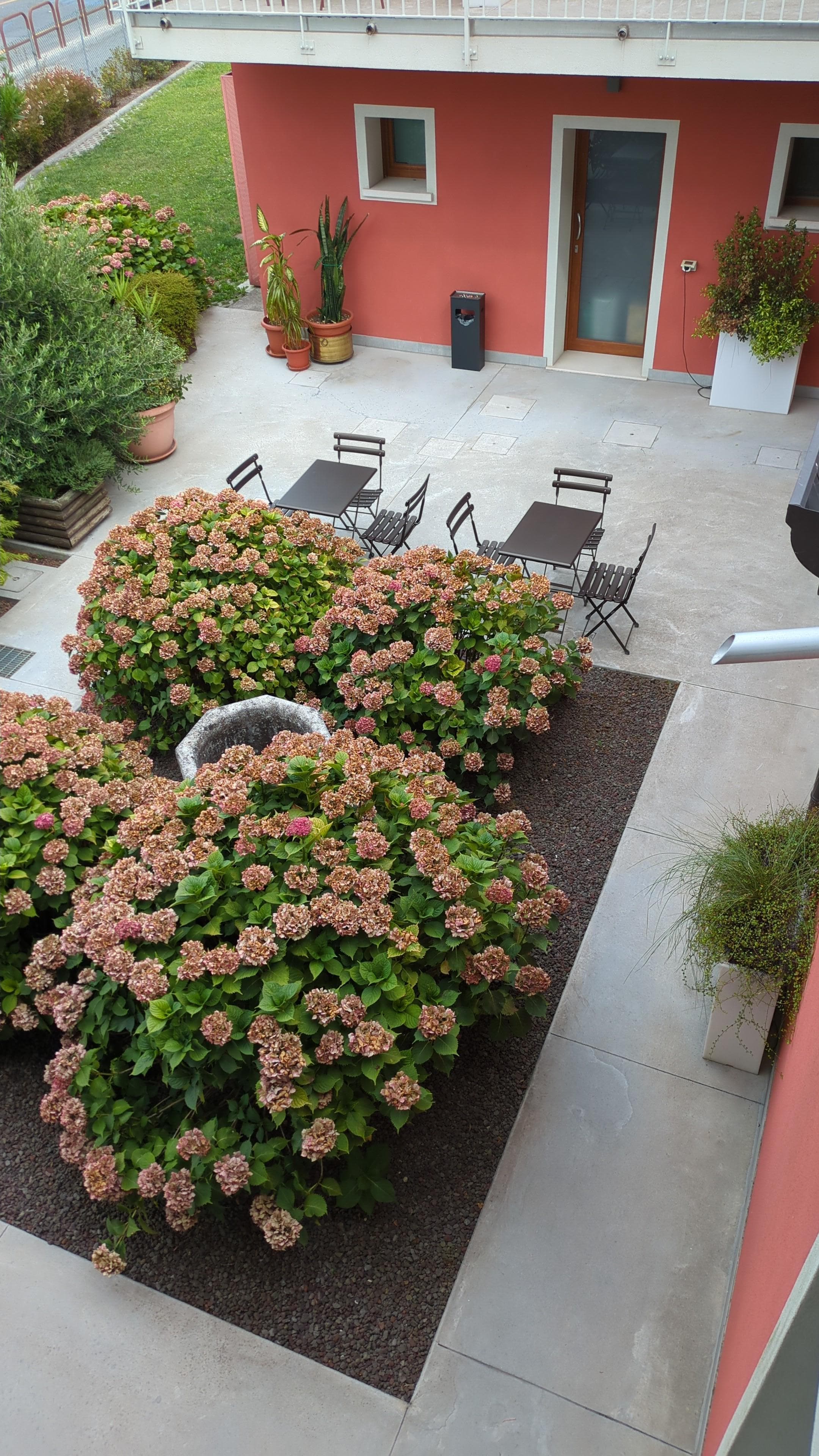 Garden public space