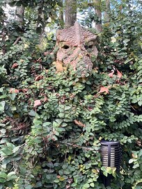 The whimsical dragon peering out from the bush. Eyes light up at night