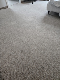 Stained carpets