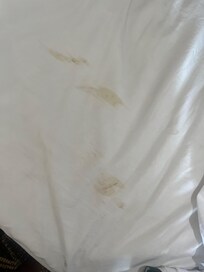 Stains on the bed and no one came to change them so we checked out