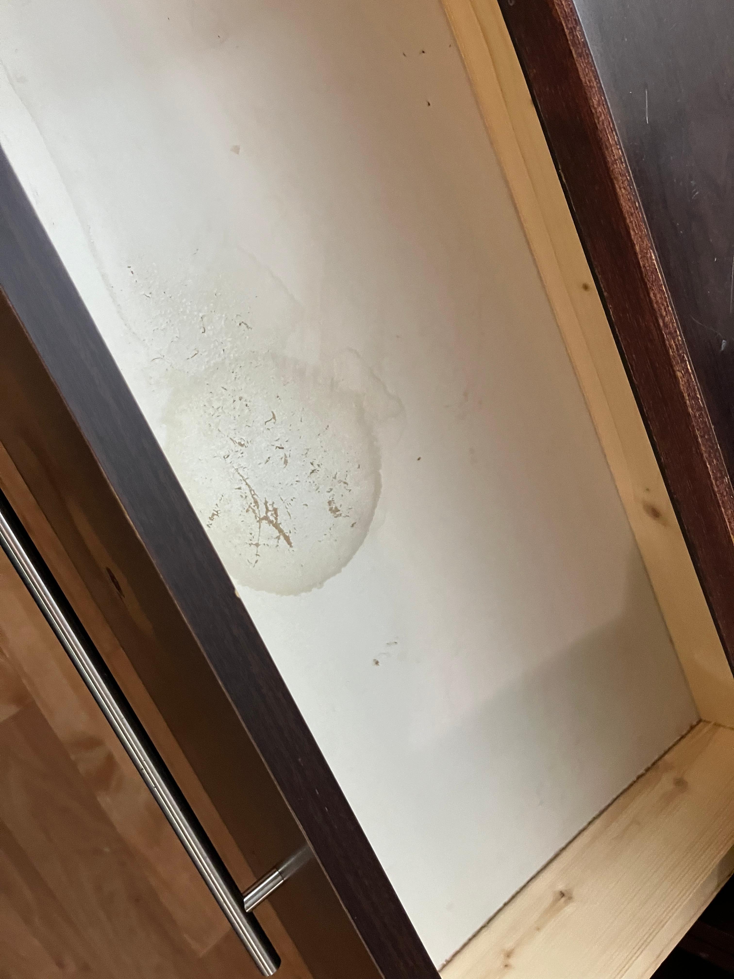 Water damage and fist holes in bathroom door