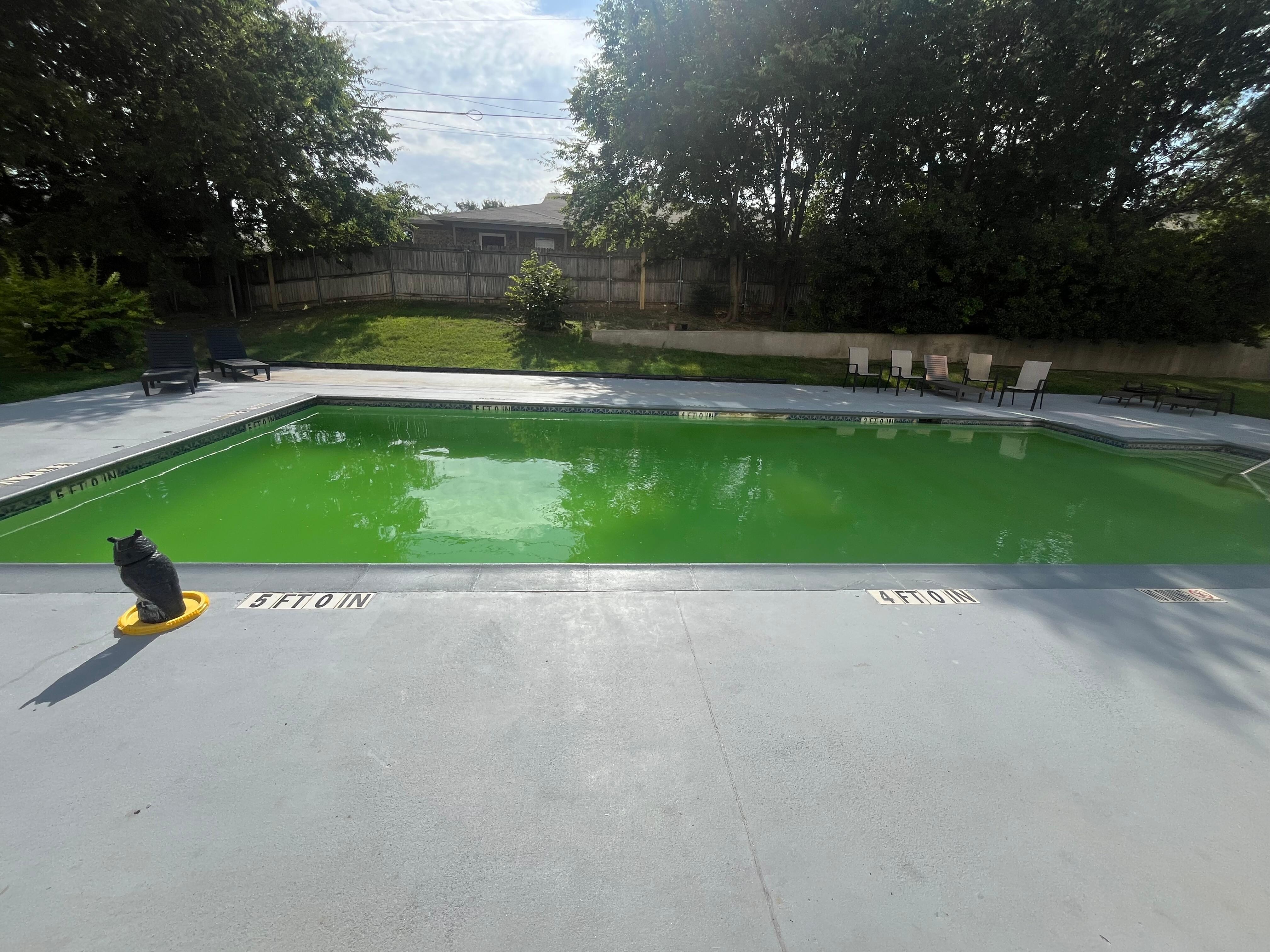 We were there 7 days unable to use the pool once. Asked about a cleaner twice nothing was ever done.