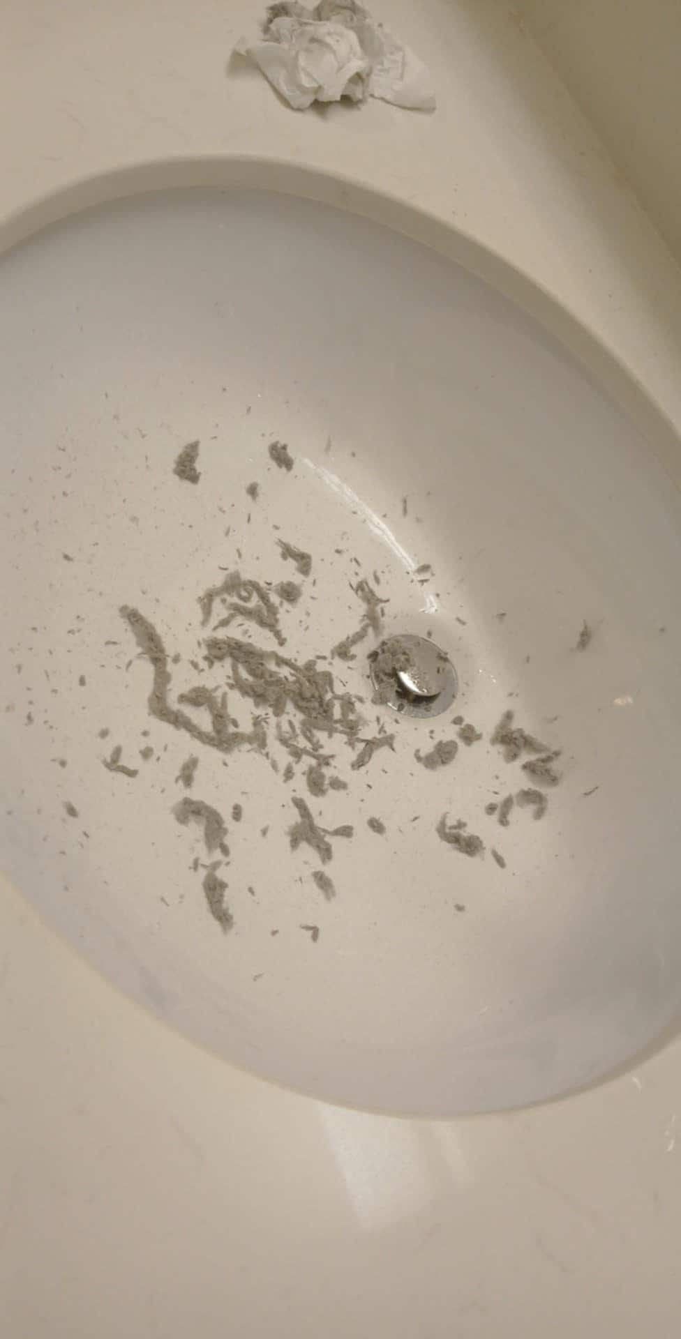 After I cleaned the A/C filter