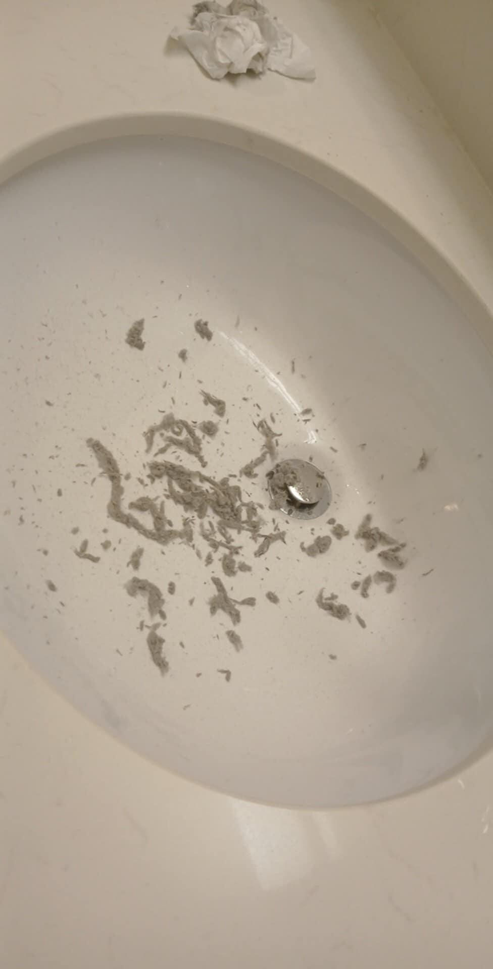 After I cleaned the A/C filter
