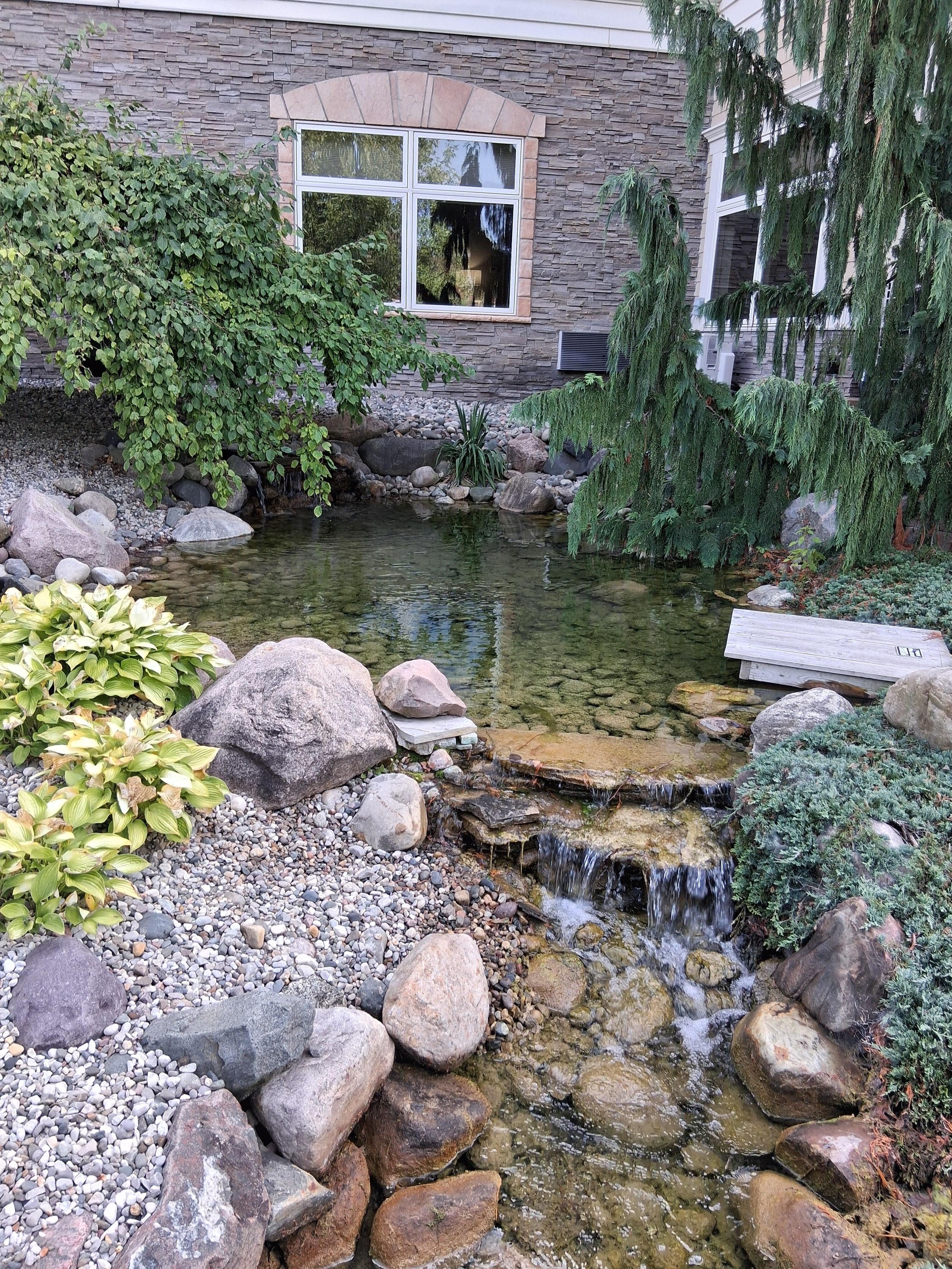 A beautiful scene from outside of my room and from the hot tub.