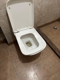 Broken toilet seat