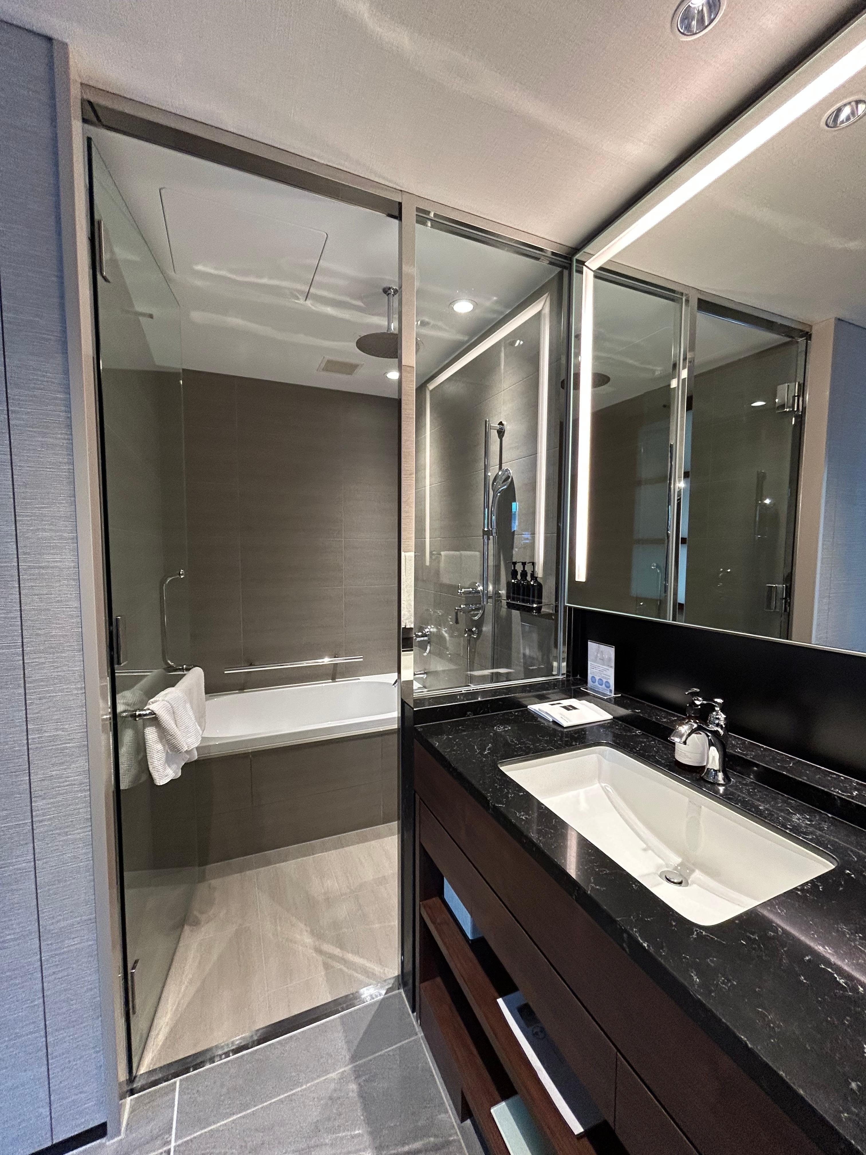 Bath, shower and vanity area