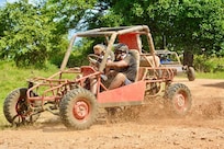 Wild Tiger Buggy rides