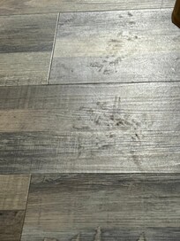 Dirty floor. Looks like dog paw prints. I don’t have a pet.