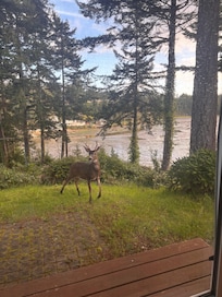 Morning visitor under scored the privacy.