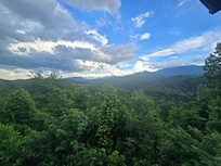 View from back porch