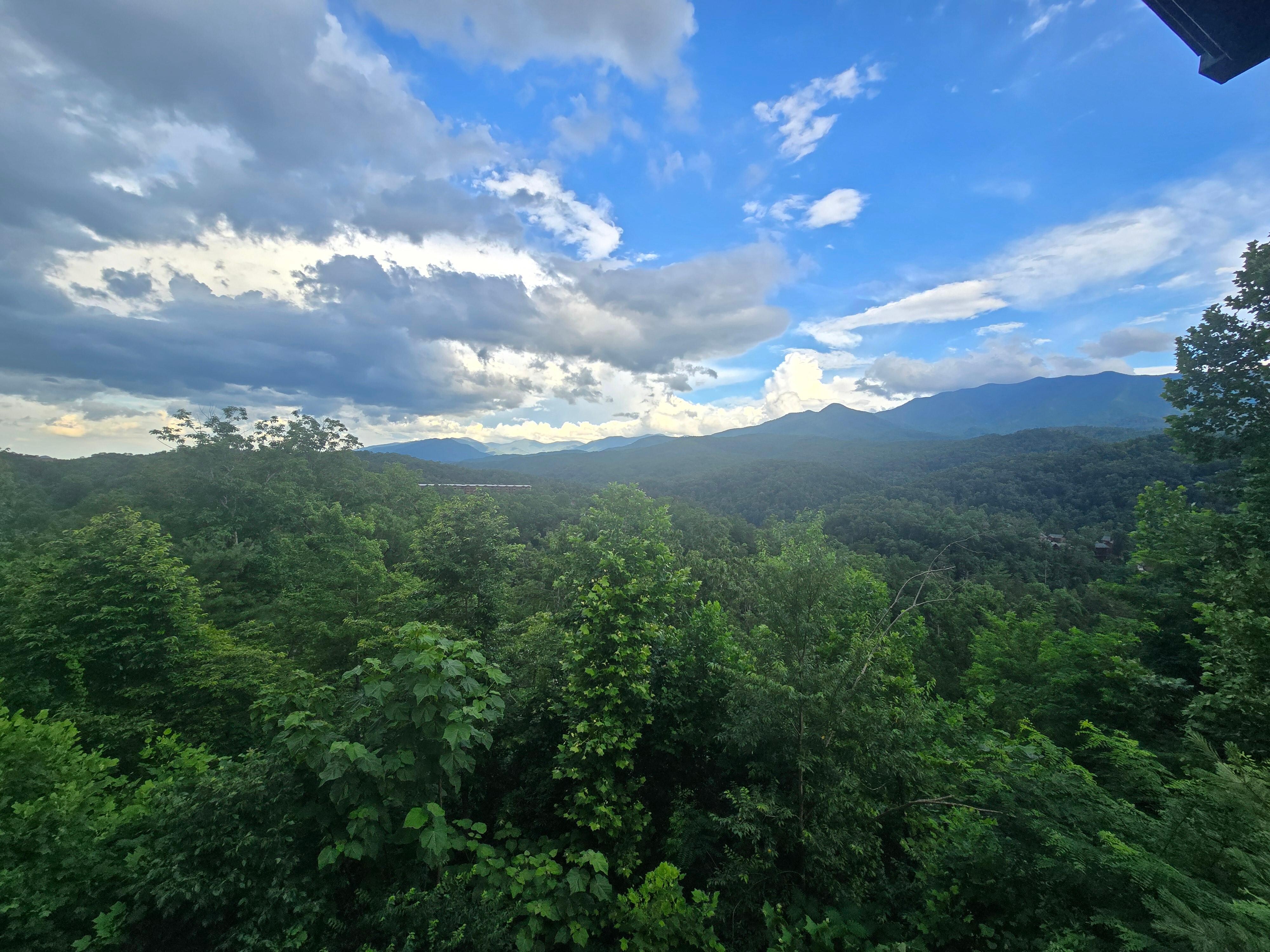 View from back porch
