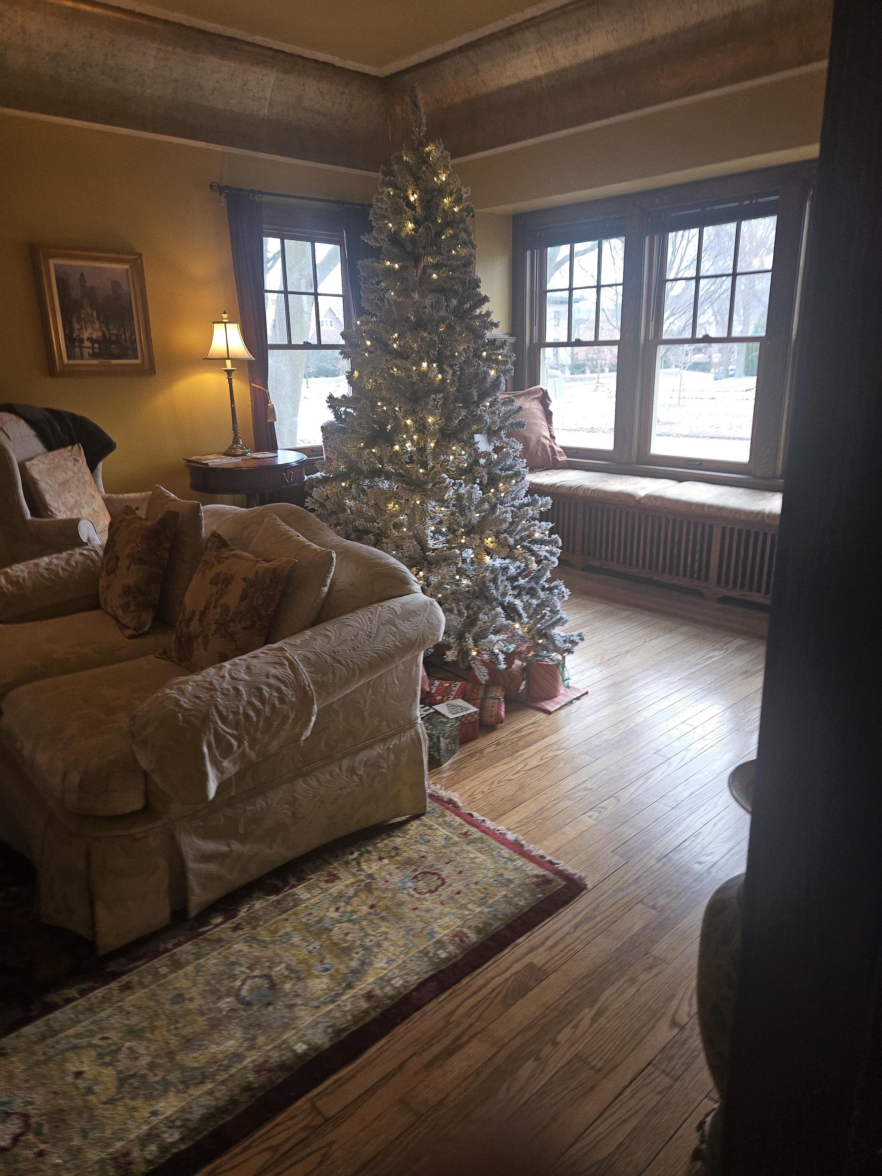 Even a Christmas tree!