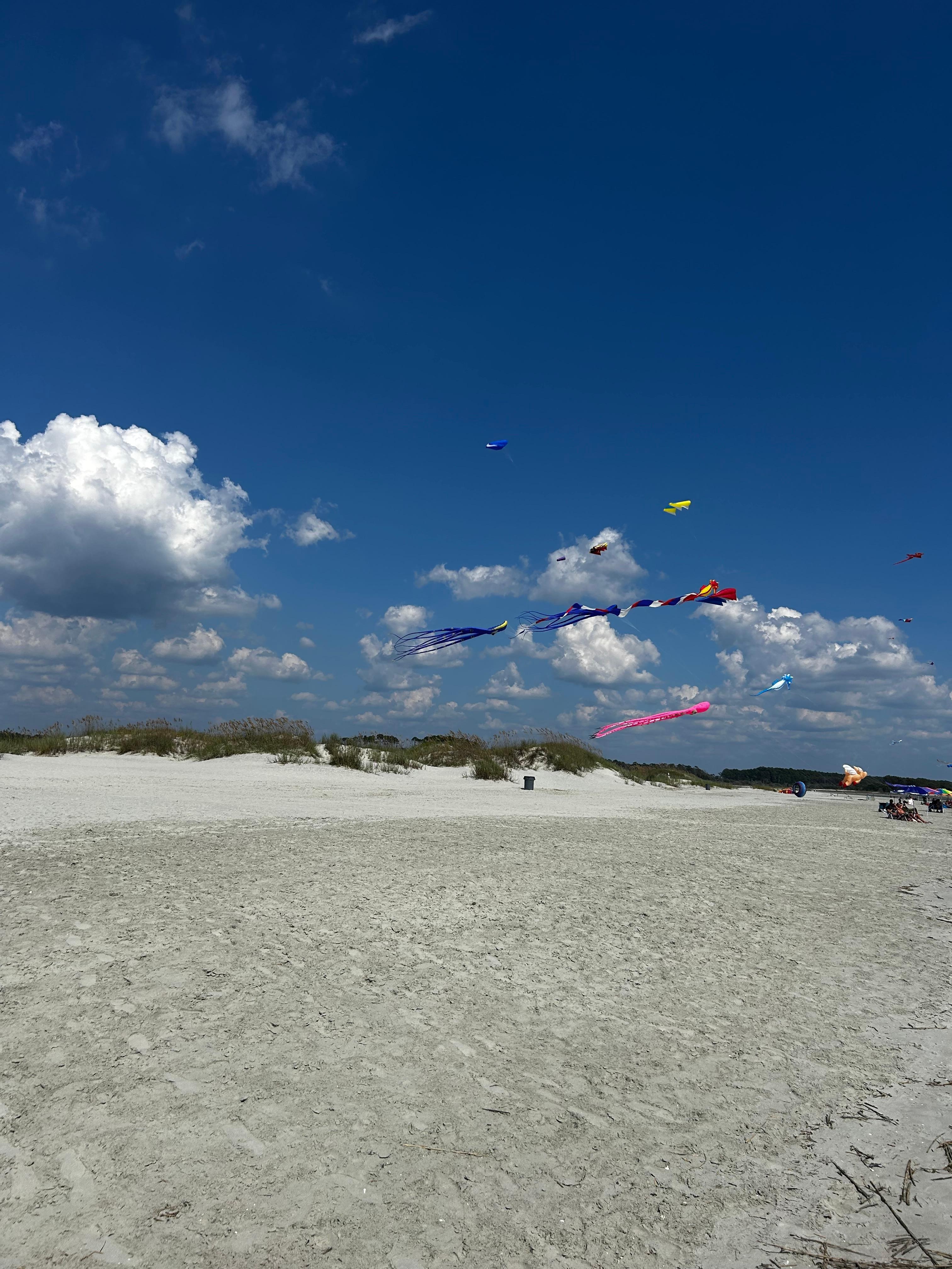 People flying kits everywhere.