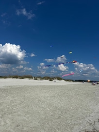 People flying kits everywhere.