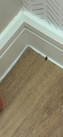 Dirty floors