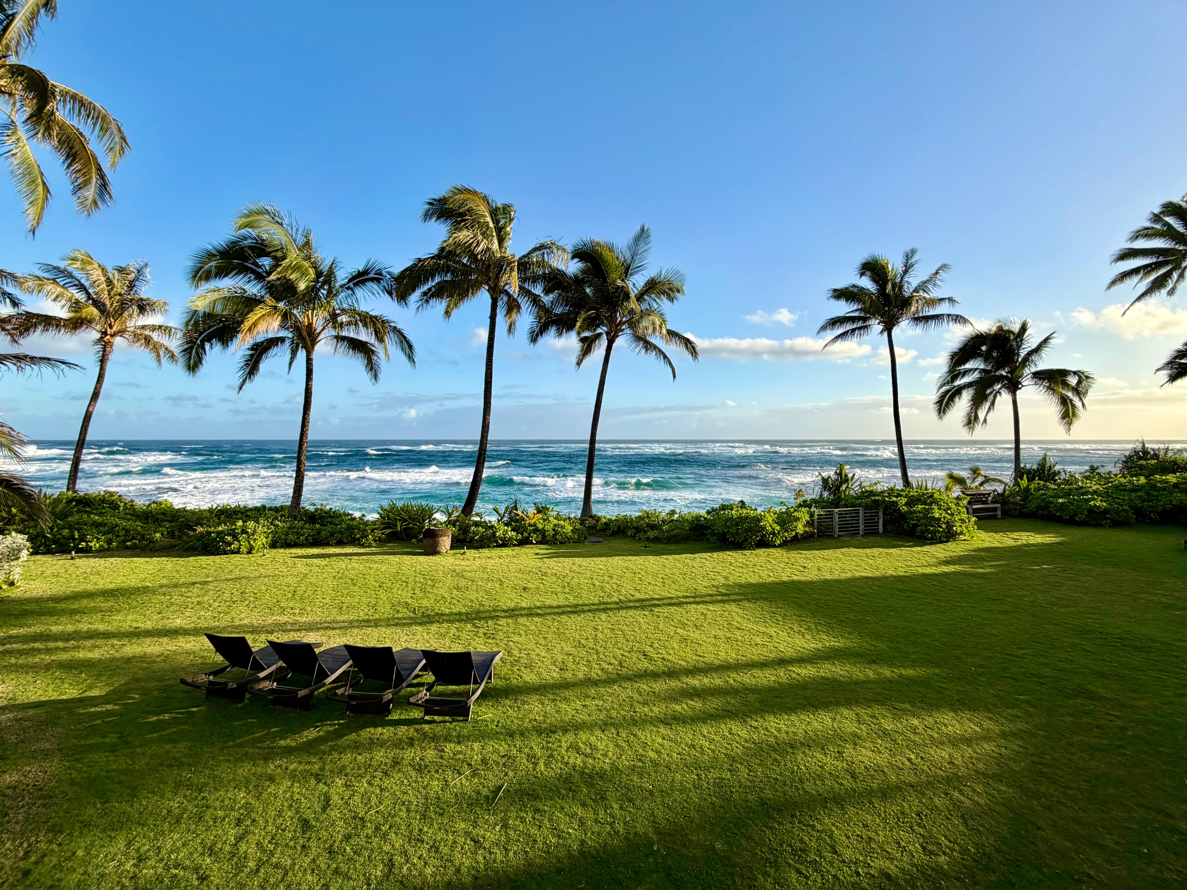 View from the porch. Incredible. 