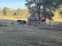 The Buckaroos wagon ride & dinner.