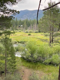 Hiking trail with meadow