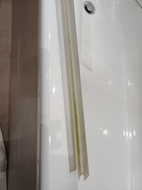 The shower trim