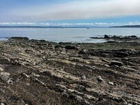 Right out front, you can explore the 28 million year old beautiful bedrock which is revealed at low tide!!