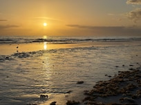The beach at sunset is stunning.