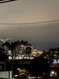 View of downtown