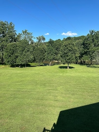 Back yard view