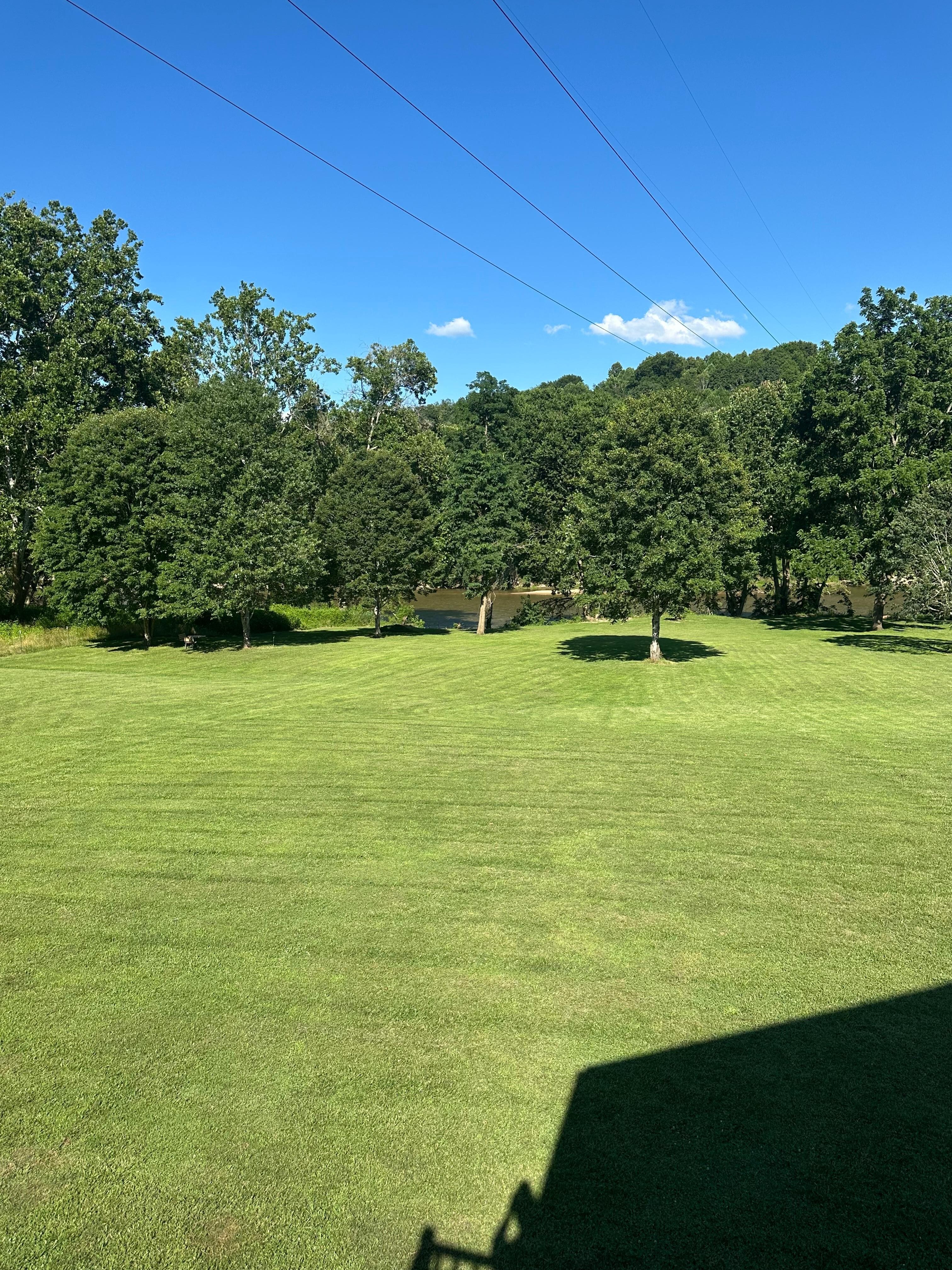 Back yard view 