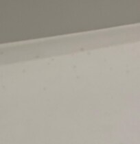 mold spores above tub/shower