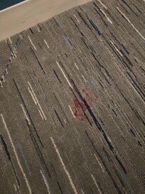 Stain on Carpet, we were told all of this is normal wear and tear.