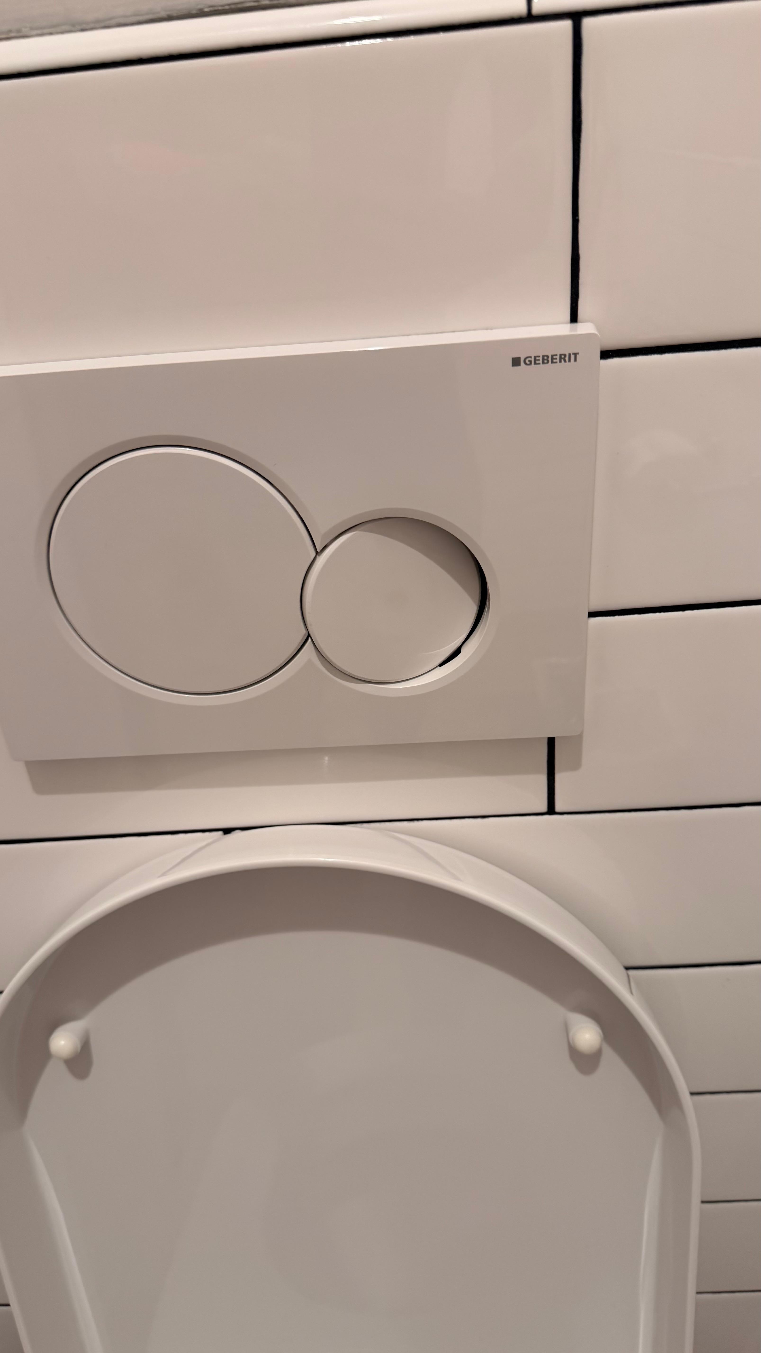 Flush mechanism would get stuck and you'd have to sort of bang on it a few times to get it to stop flushing.