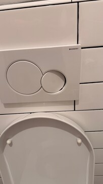 Flush mechanism would get stuck and you'd have to sort of bang on it a few times to get it to stop flushing.