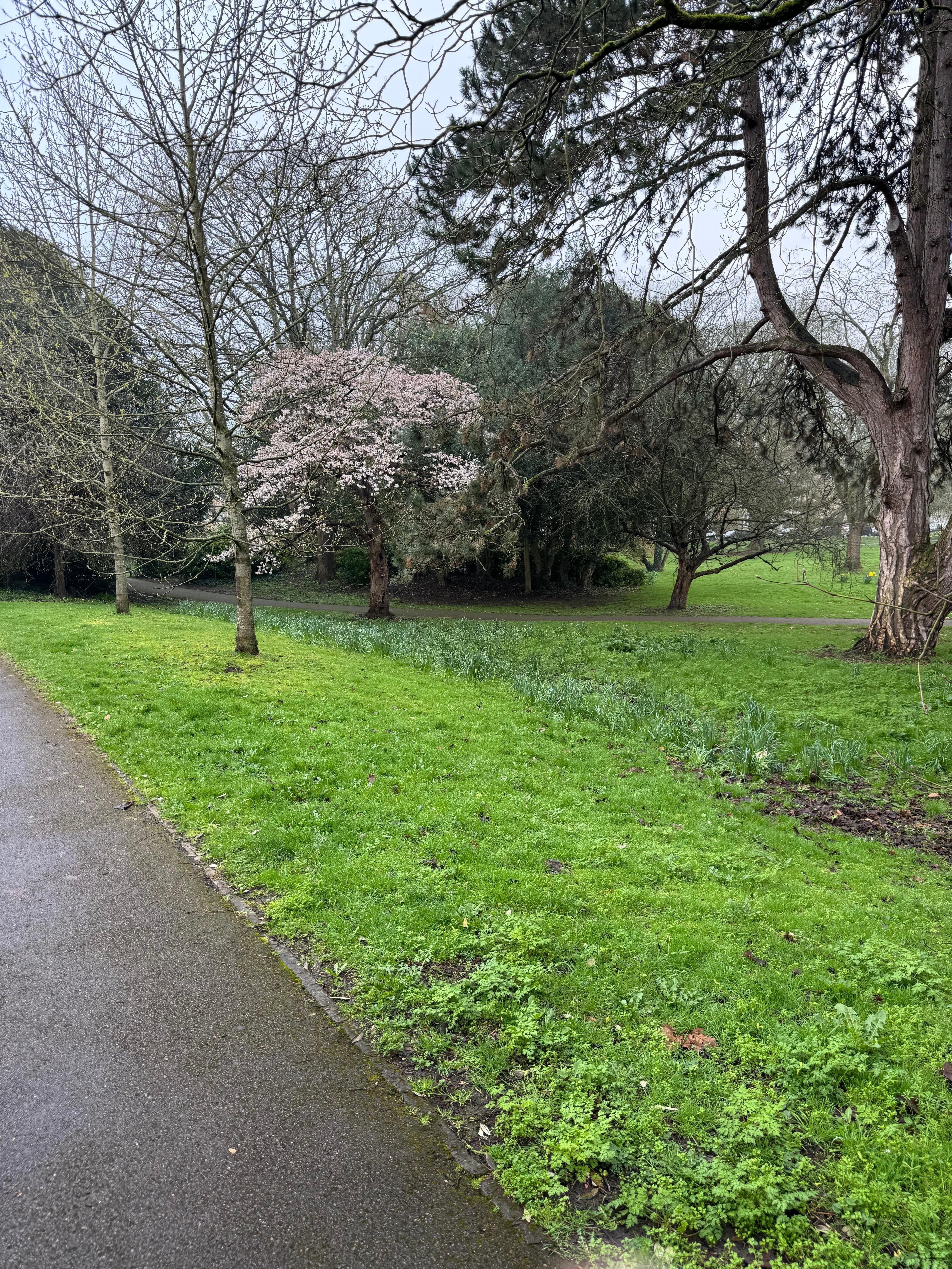 Henrietta Gardens across the road from the hotel 