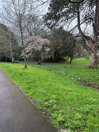 Henrietta Gardens across the road from the hotel