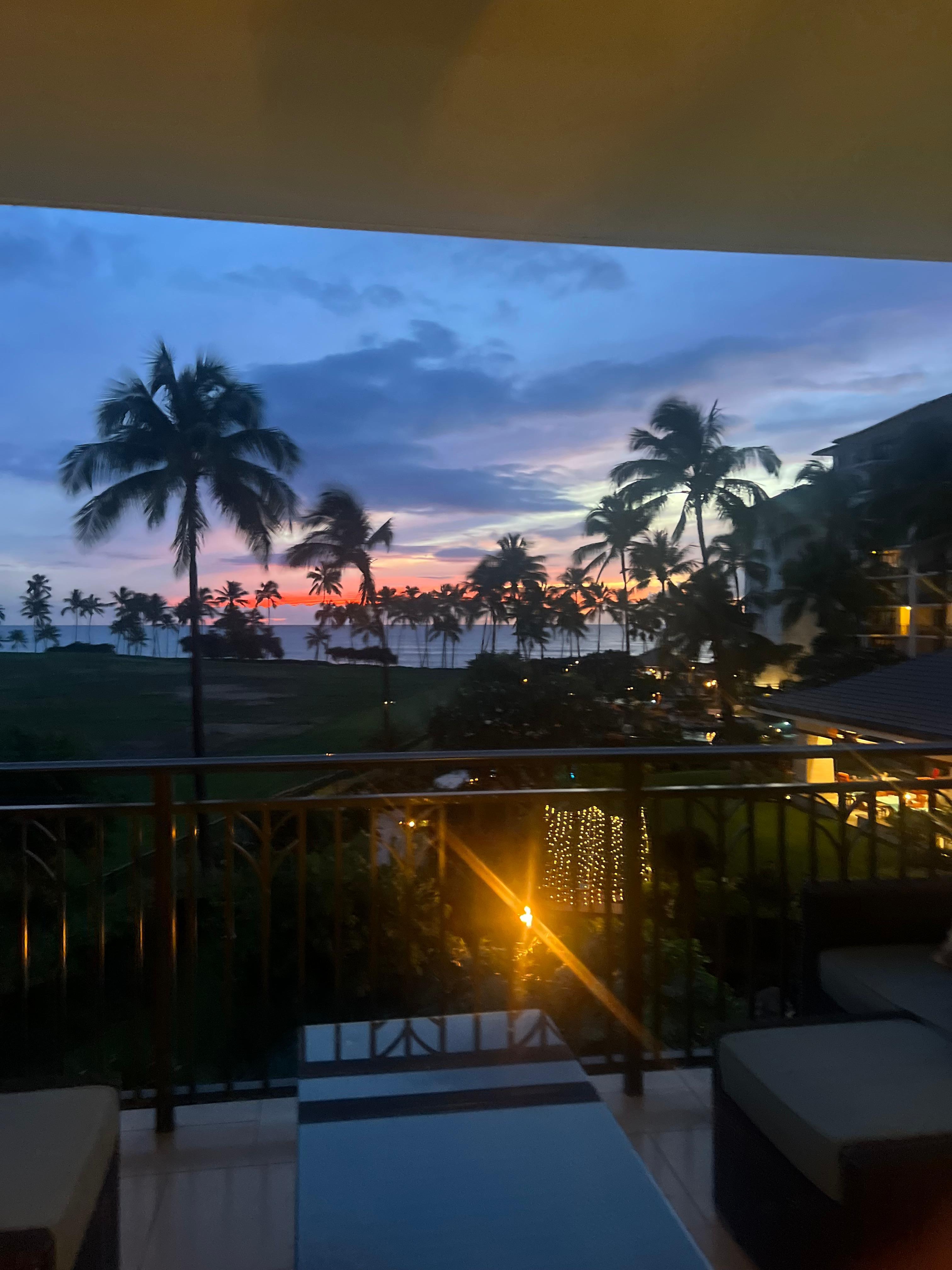 View from kitchen/dining room 