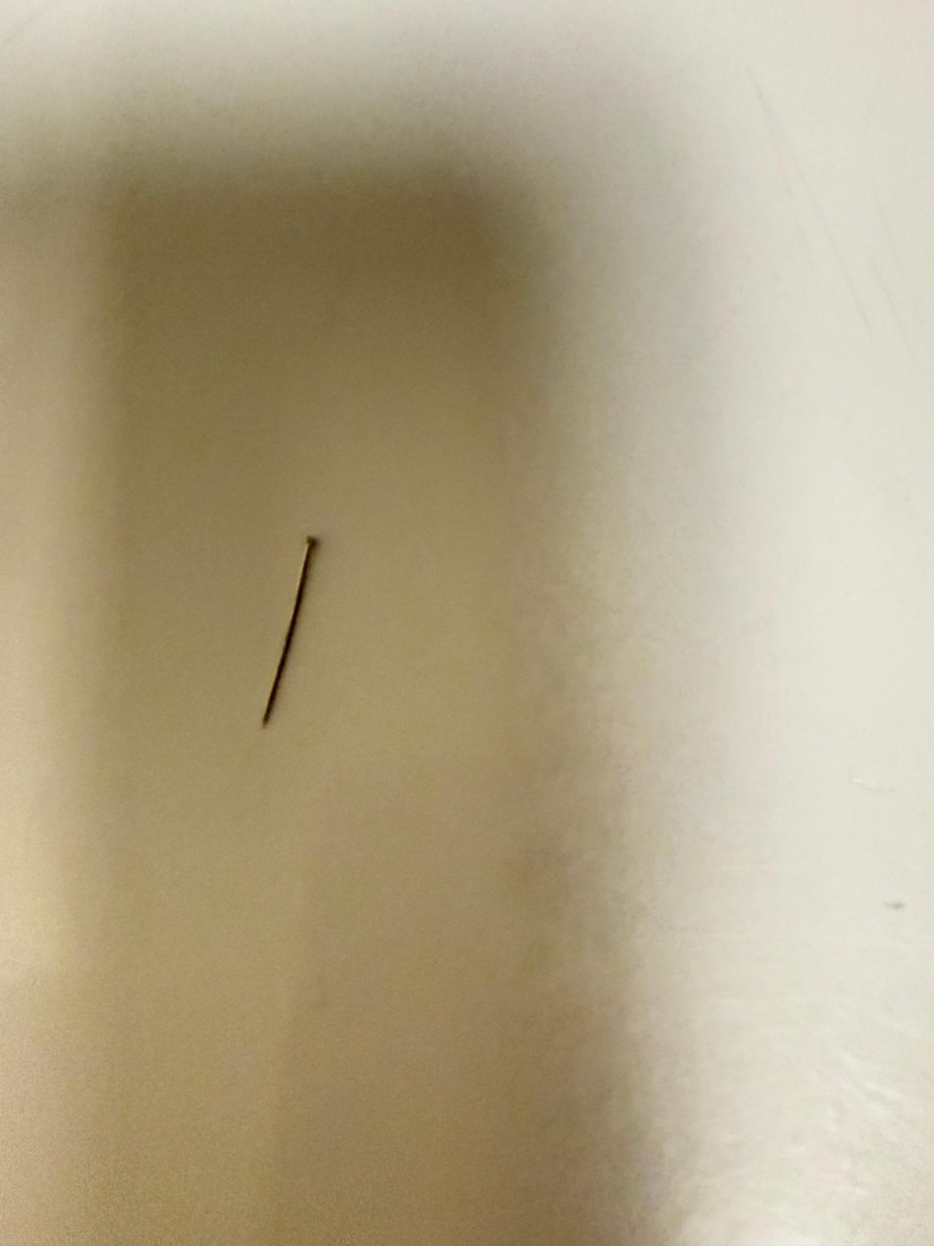 One of the two nails on the floor 