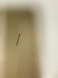 One of the two nails on the floor