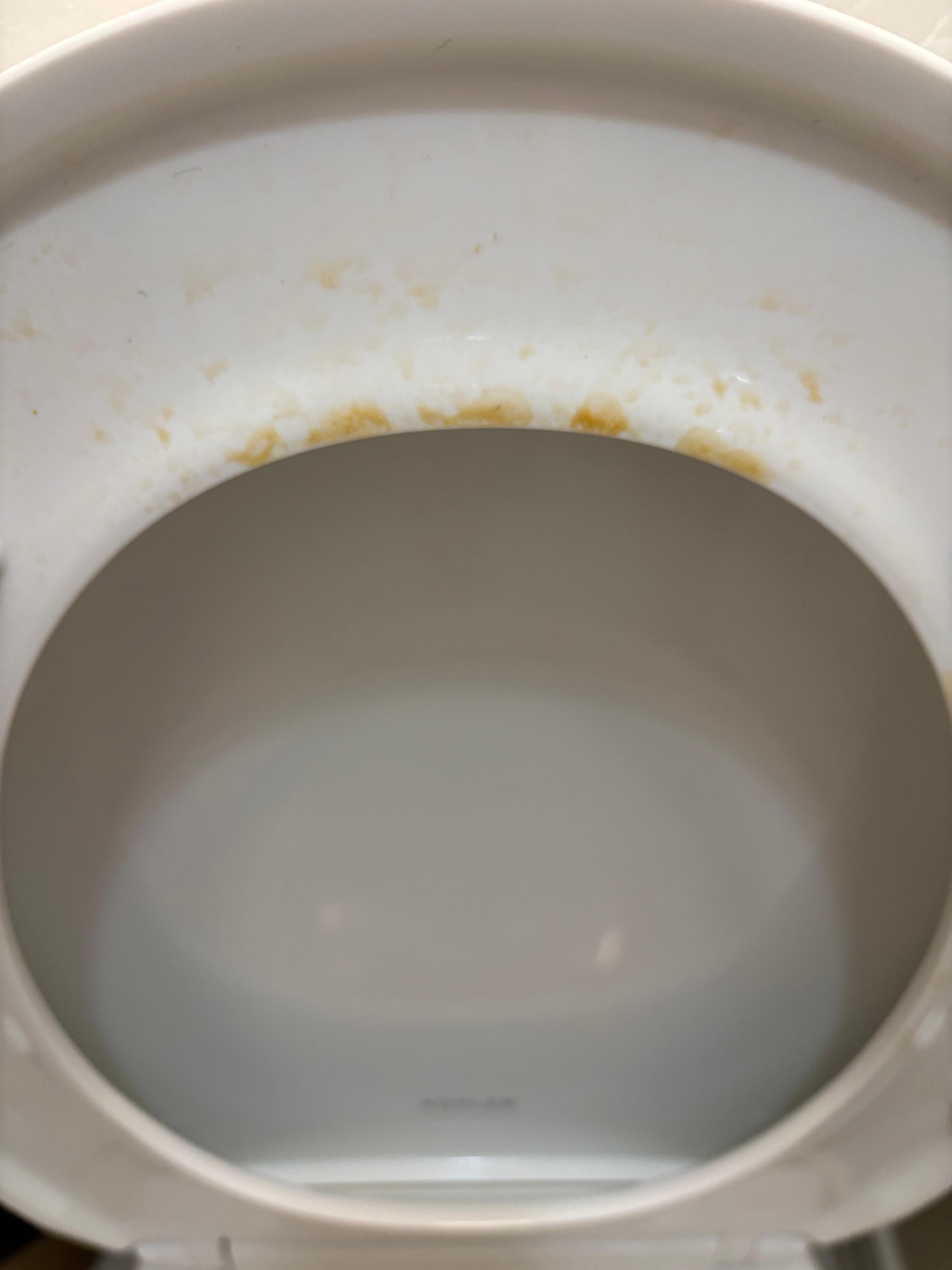 Toilet seat