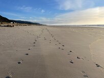 Beach in front of the home
