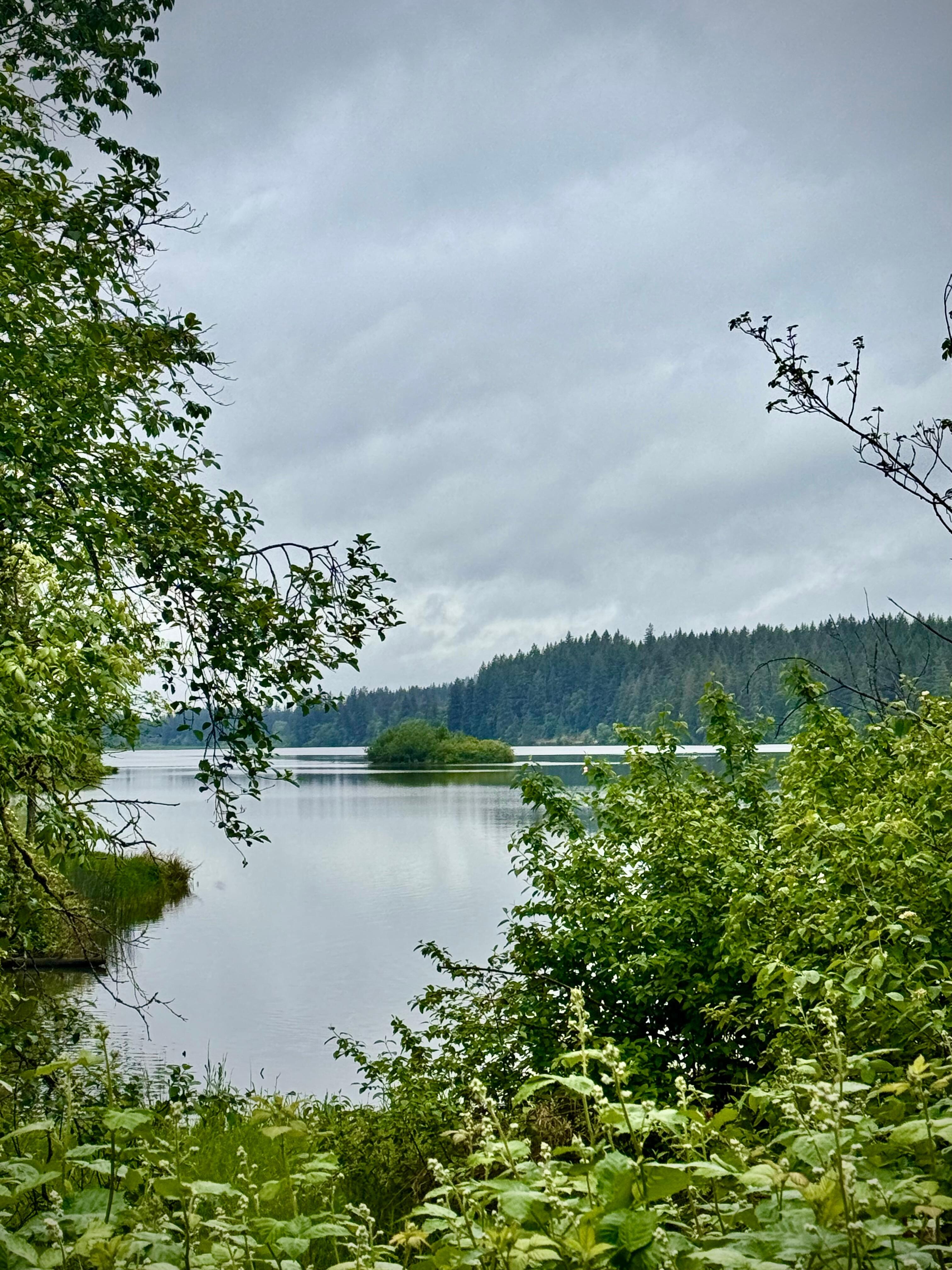 Lacamas Lake