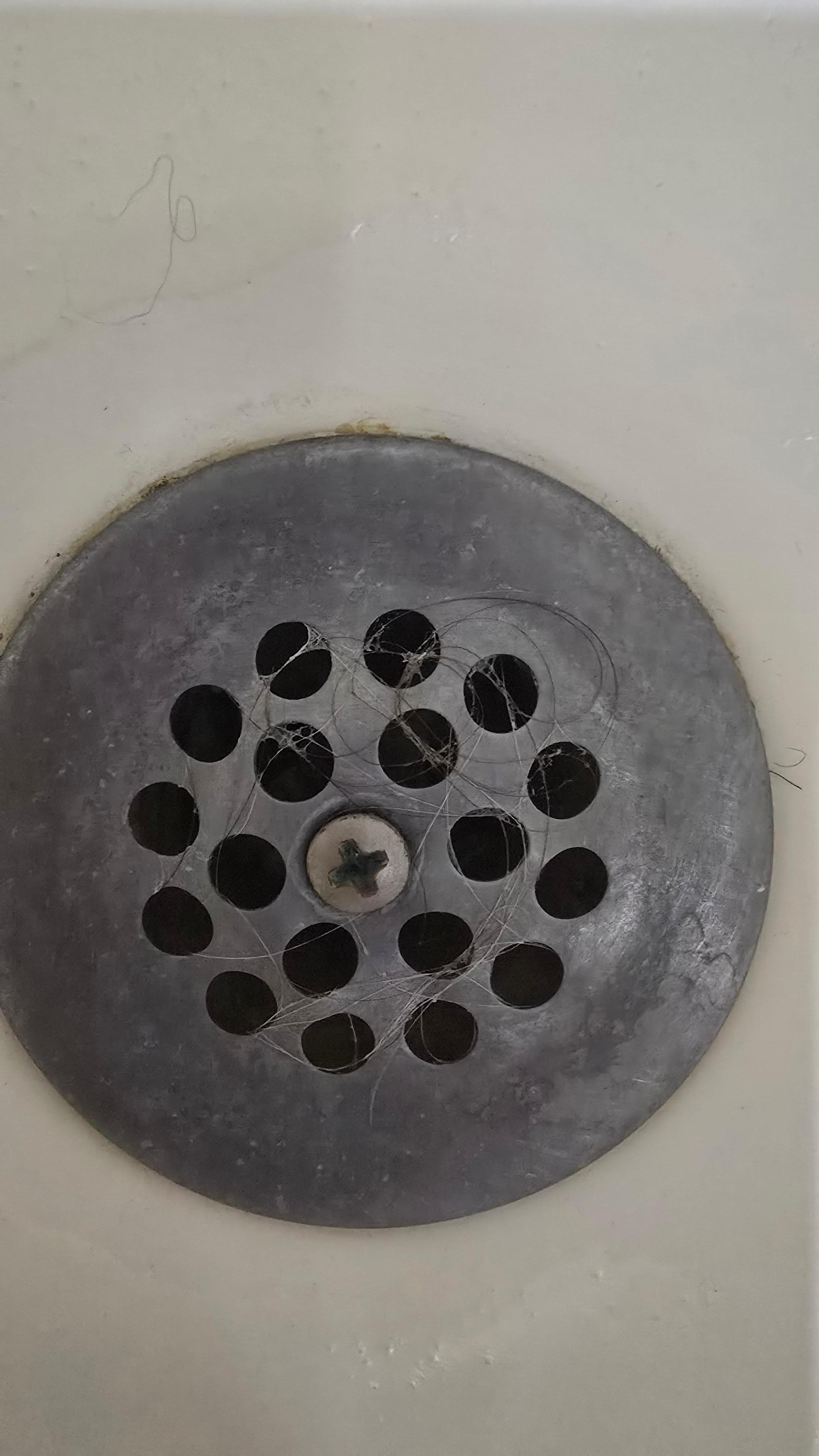 Hair on bathtub drain
2nd room
