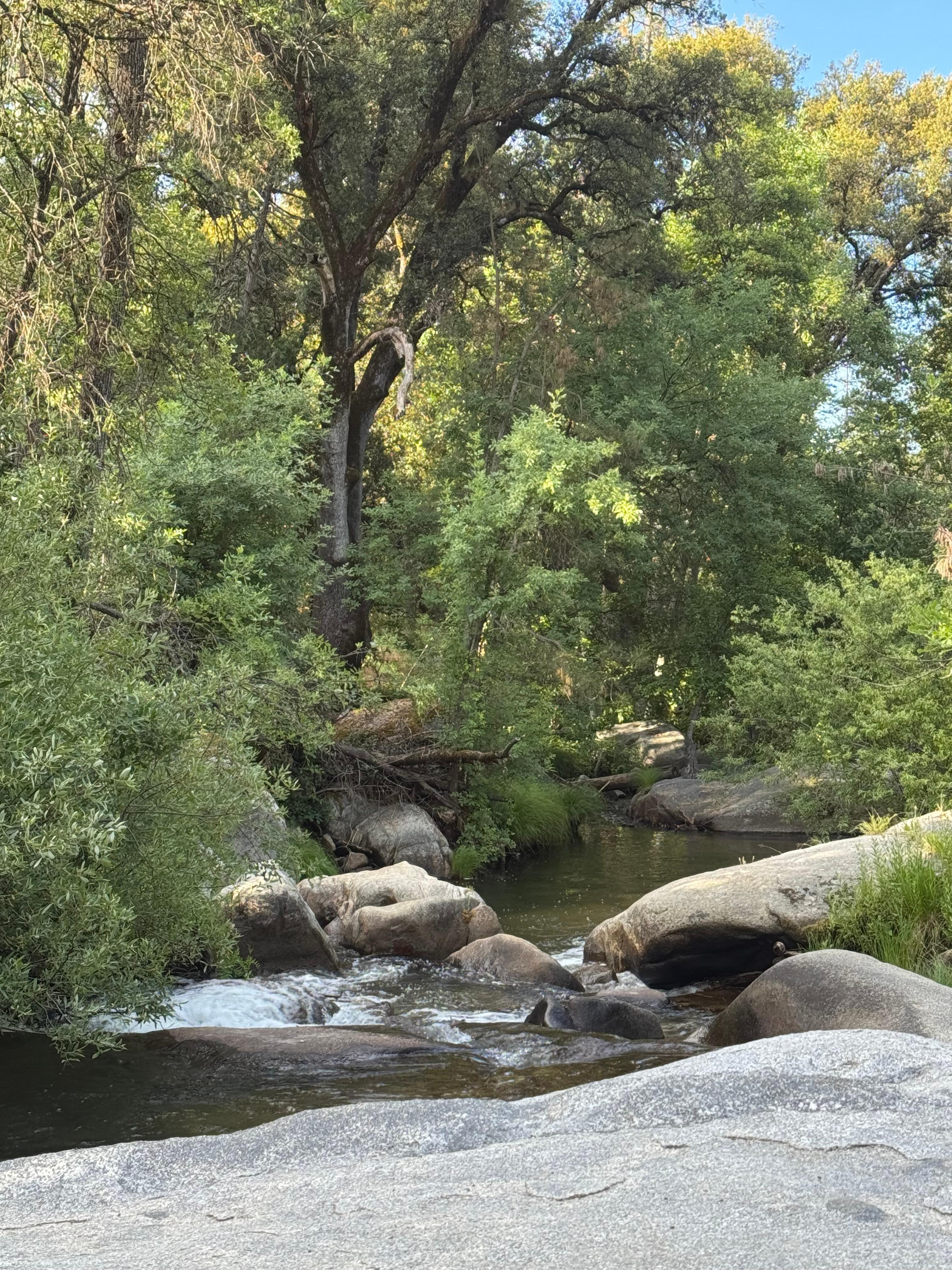 Beautiful creek just down the hill, steep steps, but so worth it!